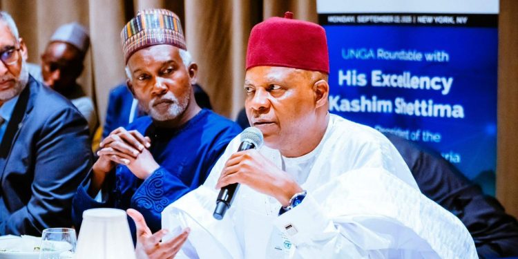 UNGA: Shettima ya tallata damar zuba jari na dala biliyan 200 a fannin makamashi a Nijeriya