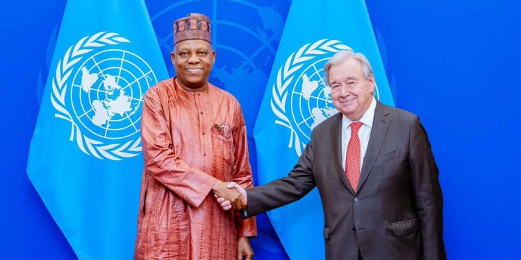 Ganawa da Guterres: Nijeriya ta jaddada neman kujerar dindindin a Kwamitin Tsaro na Majalisar Ɗinkin Duniya