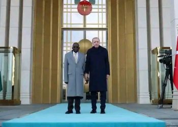 Turkiyya za ta zuba jarin dala biliyan 5 a Nijeriya
