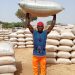 Rawar da Babban Bankin Nijeriya ke takawa a tallafin kuɗin noma