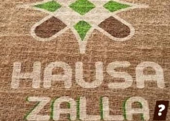 Hausa Zalla Ko Zallar Jahilci?