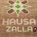 Hausa Zalla Ko Zallar Jahilci?