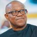Allah ya kyauta a ce wai Peter Obi ya zama Shugaban Nijeriya, inji Fani-Kayode