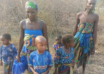 Sojoji sun ragargaji maɓoyar ‘yan ta’adda a dajin Bauchi, sun kamo iyalan su