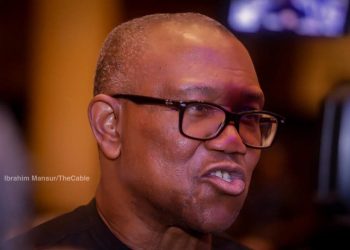 Fadar Shugaban Ƙasa ta yi fatali da zarge-zargen Peter Obi, ta ce duk ƙarya ne