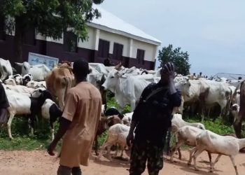Sojoji sun kuɓutar da mutum 14, sun ƙwato dabbobi 281 daga hannun ’yan ta’adda